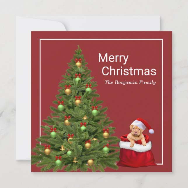 Merry Christmas Santa Claus Fun Dog Personalize Holiday Card (Front)