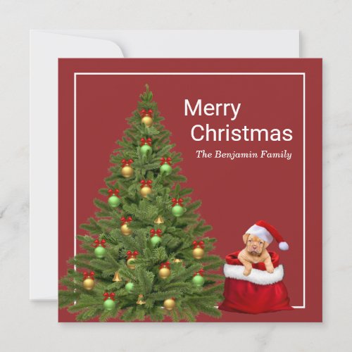 Merry Christmas Santa Claus Fun Dog Personalize Holiday Card