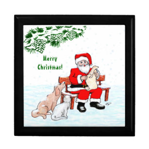 Merry Christmas! Santa Claus with Cat and Dog Gift Box