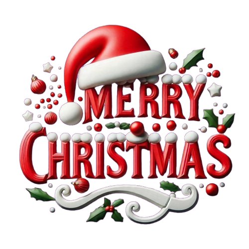 Merry Christmas Santa Hat  Stainless Steel Water Bottle