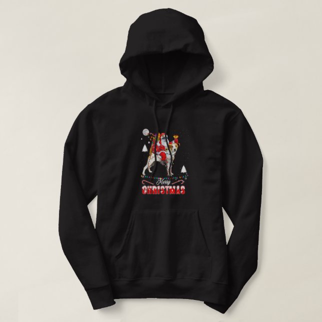 Merry Christmas Santa Riding Jack Russell Kids Boy Hoodie (Design Front)