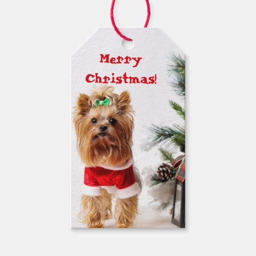 Merry Christmas Santa Yorkie with Christmas Tree Gift Tags