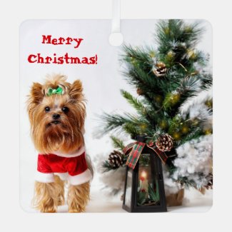 Merry Christmas Santa Yorkie with Christmas Tree