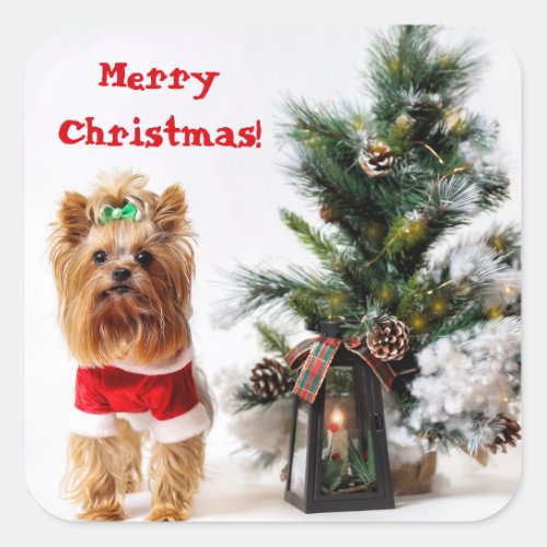 Merry Christmas Santa Yorkie with Christmas Tree Square Sticker