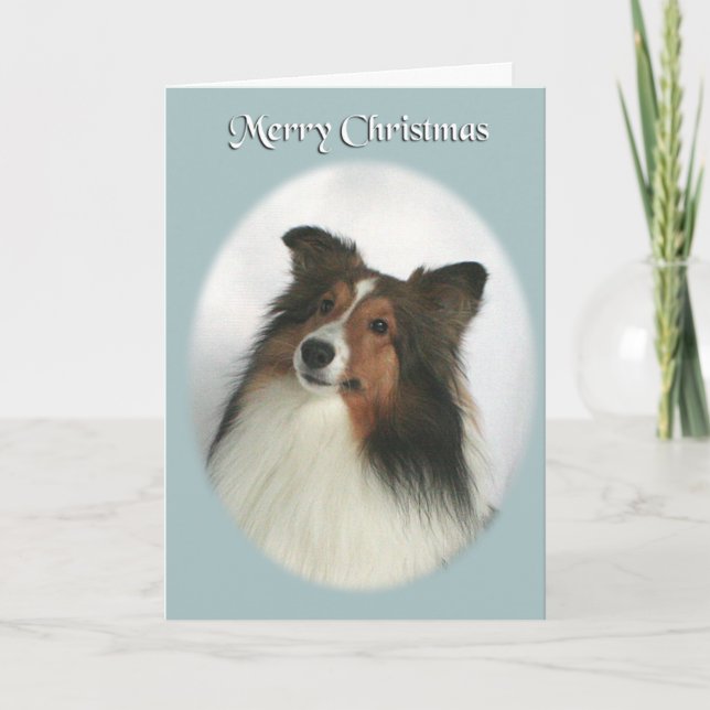 Merry Christmas Sheltie Holiday Card (Front)