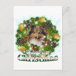 Merry Christmas Sheltie Holiday Postcard