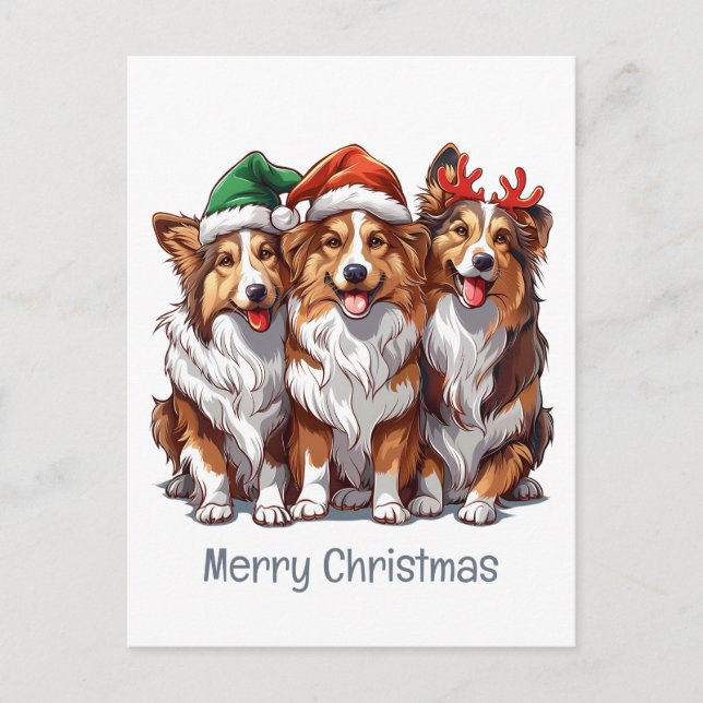 Merry Christmas Shetland Sheepdogs Postcard (Front)