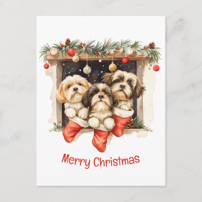 Merry Christmas Shih Tzu Dogs Postcard (Front)