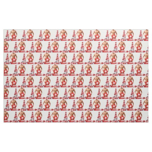 Merry Christmas SlipperyJoe red white silver gift  Fabric