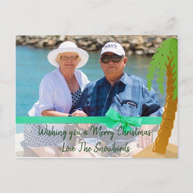 Merry Christmas Snowbird Funny Palm Tree Card (Front)