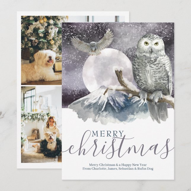 Merry Christmas Snowy Owl Personalized Holiday Card (Front/Back)
