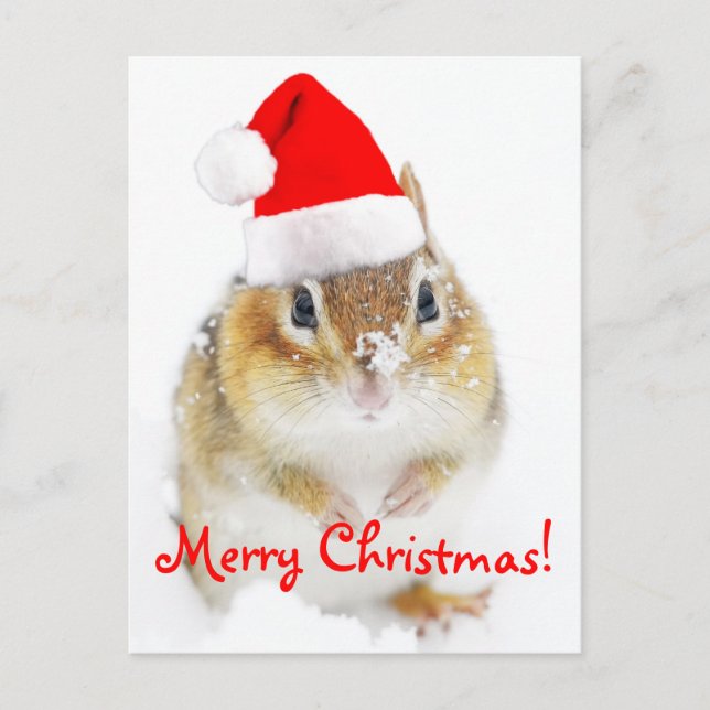 Merry Christmas Snowy Santa Chipmunk Holiday Postcard (Front)