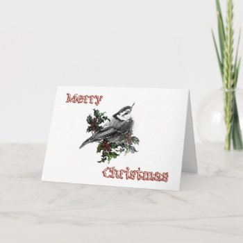 Merry Christmas Songbird Nuthatch Greeting Card by CarolsCamera at Zazzle