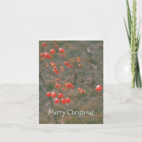 Merry Christmas Sparkling Red Berries Nature Photo Holiday Card
