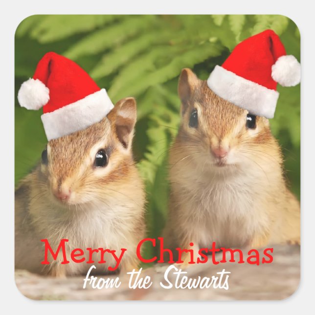 Merry Christmas Square Labels with Baby Chipmunks (Front)