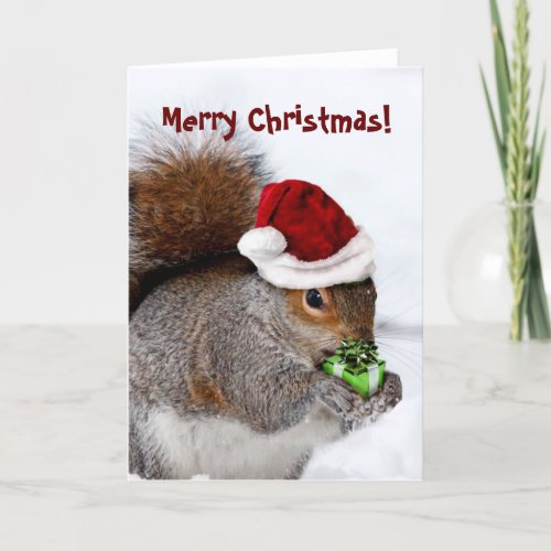 Merry Christmas Squirrel card