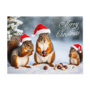 Merry Christmas Squirrel Family in Santa Hats  Postcard