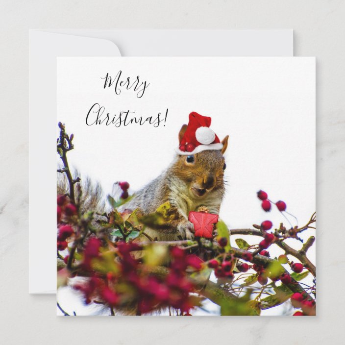 Merry Christmas Squirrel Flat Card 6632