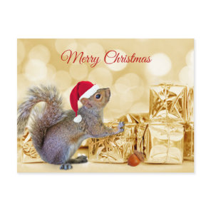 Merry Christmas Squirrel in Santa Hat & Gifts  Holiday Postcard