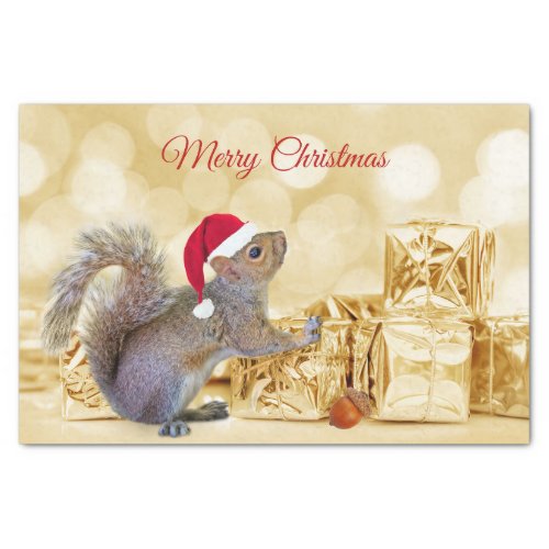 Merry Christmas Squirrel in Santa Hat  Gifts  Tissue Paper
