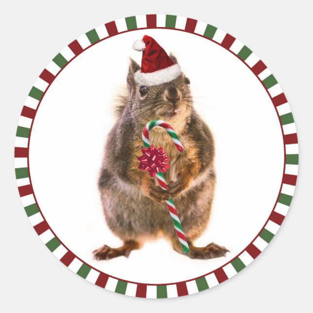 Merry Christmas Squirrel Stickers (Front)