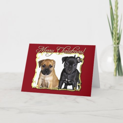 Merry Christmas Staffordshire bull terriers card