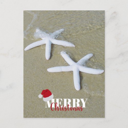 Merry Christmas Summer Starfish Beach Xmas  Holiday Postcard