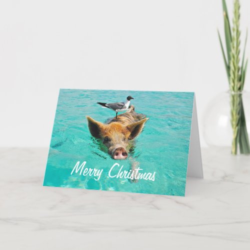 Merry Christmas Swimming Pig Holiday Card