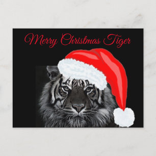 Merry Christmas Tiger Postcard
