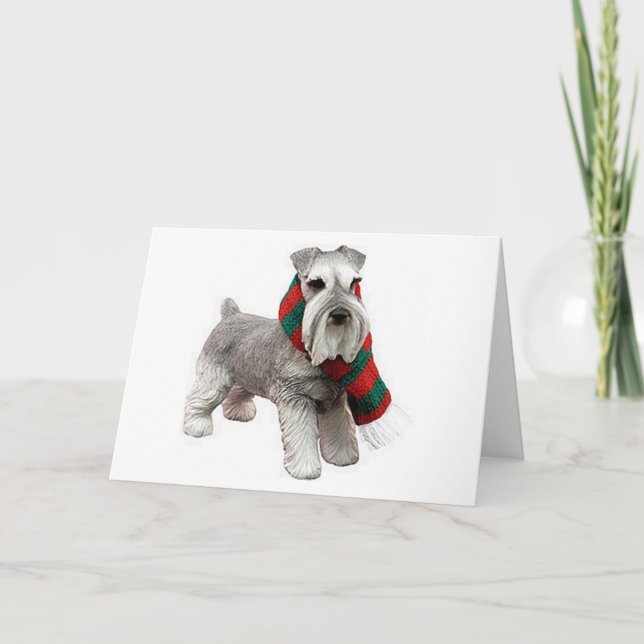 MERRY CHRISTMAS TO MY FAVORITE PET HOLIDAY CARD (Front)