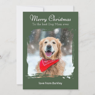 Merry Christmas to the Best Dog Mom Custom Photo Holiday Card