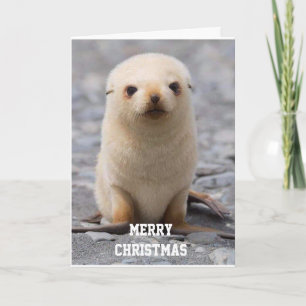 MERRY CHRISTMAS "TO YOU!" FROM "ME" HOLIDAY CARD