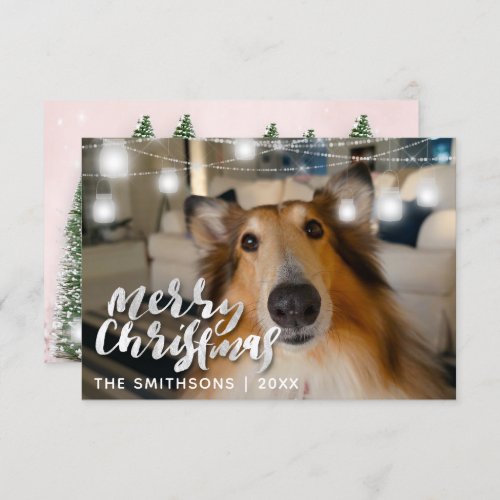 Merry Christmas Tree Winter Lights Photo Pink Dog Invitation