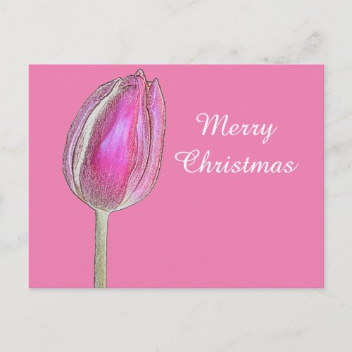 Merry Christmas Tulip Flower Floral Art Pink White Holiday Postcard