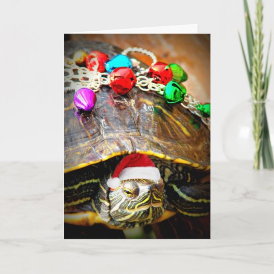 Merry Christmas Turtle Holiday Card