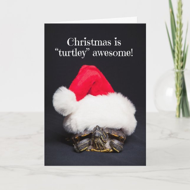 Merry Christmas Turtle in a Santa Hat Humor Holiday Card (Front)