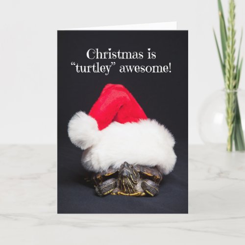 Merry Christmas Turtle in a Santa Hat Humor Holiday Card