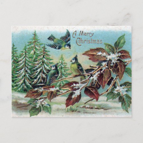 Merry Christmas Vintage Winter Forest Birds  Postcard