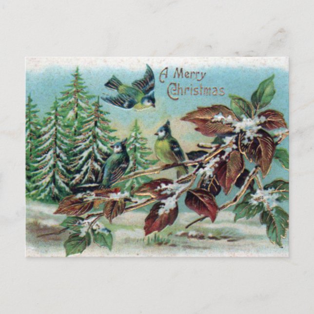 Merry Christmas Vintage Winter Forest Birds  Postcard (Front)