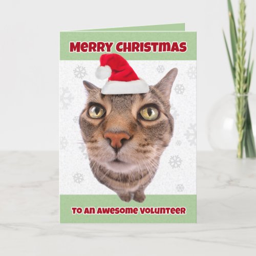 Merry Christmas Volunteer Cat in Santa Hat Humor Holiday Card