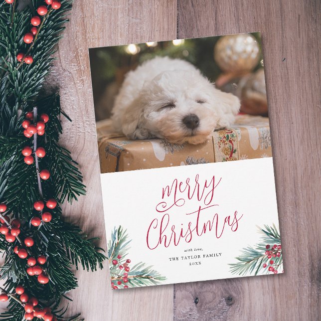 Merry Christmas Watercolor Pine and Berries Holiday Card (Merry Christmas Watercolor Pine and Berries Holiday Card)