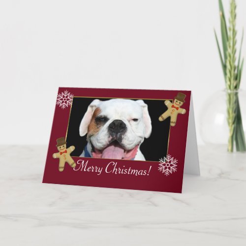 Merry Christmas  White Boxer Dog Holiday Card