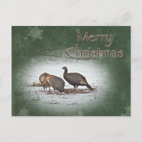 Merry Christmas Wild Turkey Holiday Postcard