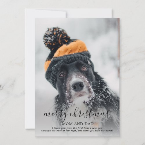 Merry Christmas Winter Dog Photo From Rescue Dog Holiday Card