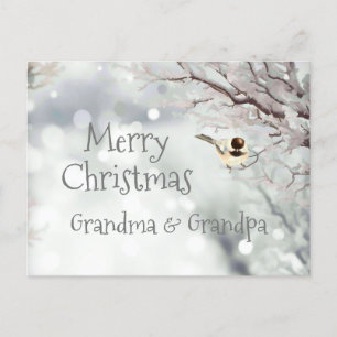 Merry Christmas Winter Frost Bird Holiday Postcard