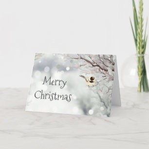 Merry Christmas Winter Frost Bird Scripture Holiday Card