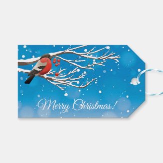 Merry Christmas Winter Robin
