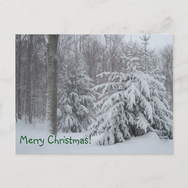 Merry Christmas Winter Scene Holiday Postcard (Front)