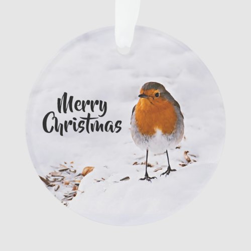 Merry Christmas with a cute red Robin in snow Ornament