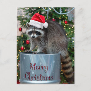 Merry Christmas With Raccoon Santa Scene Holiday Postcard